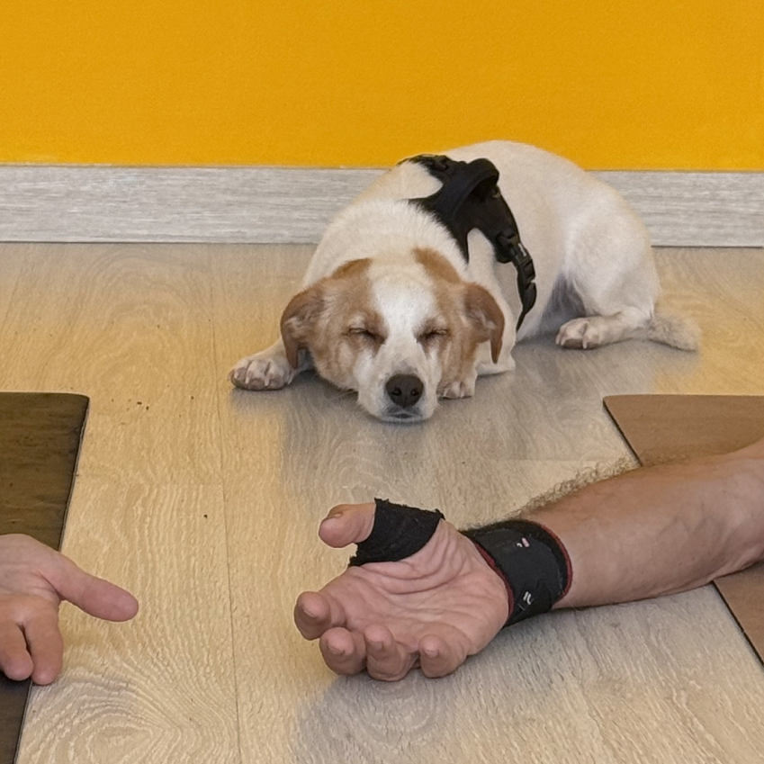 Clases de yoga